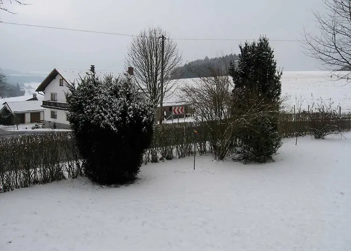Daire Haus Hollerbusch *