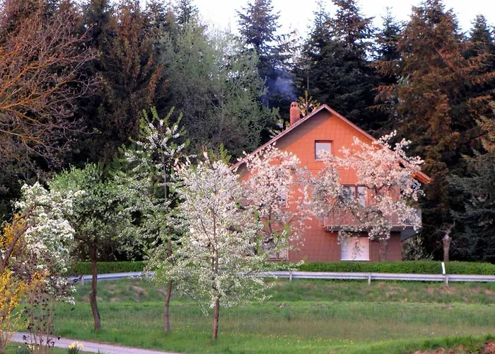 Haus Hollerbusch Daire