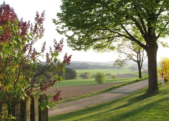 Daire Haus Hollerbusch Neunburg vorm Wald