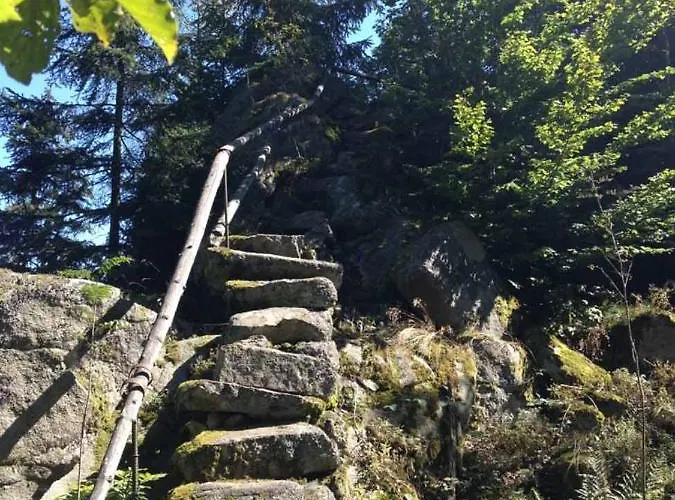 Haus Hollerbusch Daire *