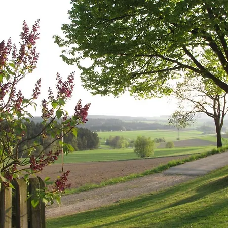 Apartament Haus Hollerbusch Neunburg vorm Wald